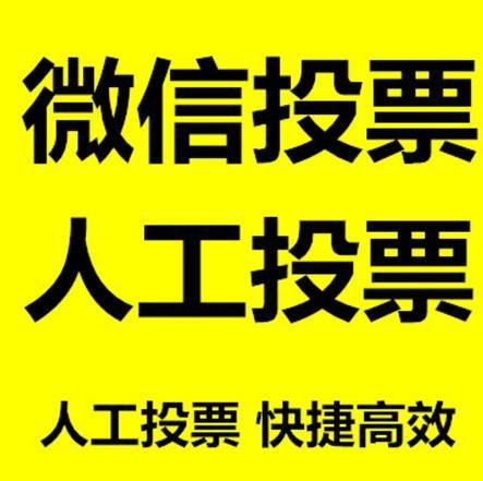 宜昌市投票活动拉票能被查出来吗？如何操作能不被发现？